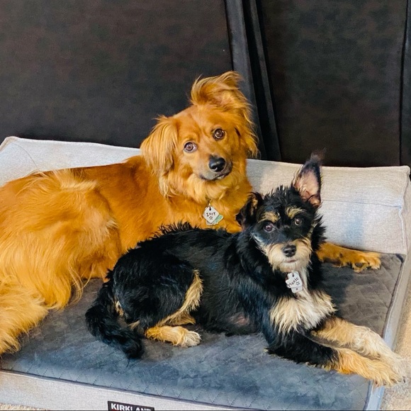 Meet your Posher, Sharon - Picture 1 of 1